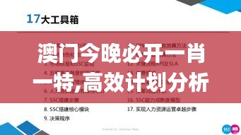 澳门今晚必开一肖一特,高效计划分析实施_特供版8.696