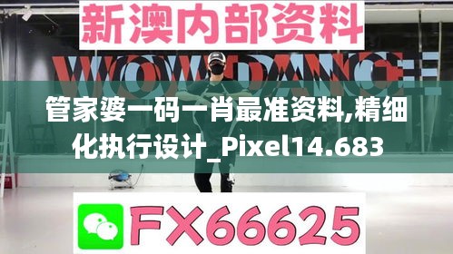 管家婆一码一肖最准资料,精细化执行设计_Pixel14.683