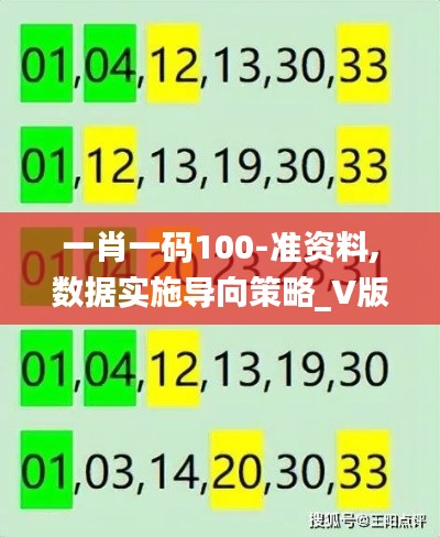 一肖一码100-准资料,数据实施导向策略_V版5.550