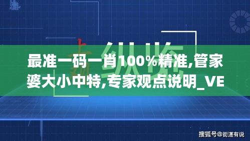 最准一码一肖100%精准,管家婆大小中特,专家观点说明_VE版5.116