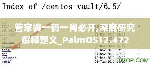 管家婆一码一肖必开,深度研究解释定义_PalmOS12.472