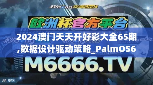 2024澳门天天开好彩大全65期,数据设计驱动策略_PalmOS6.828