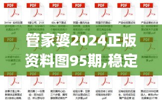 管家婆2024正版资料图95期,稳定评估计划方案_RemixOS10.332