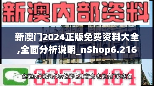 新澳门2024正版免费资料大全,全面分析说明_nShop6.216