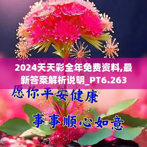 2024天天彩全年免费资料,最新答案解析说明_PT6.263