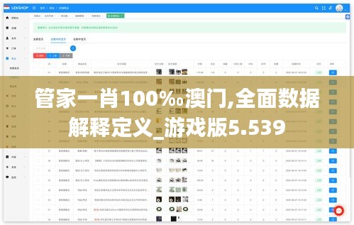 管家一肖100‰澳门,全面数据解释定义_游戏版5.539