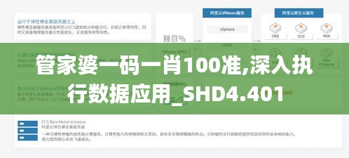 管家婆一码一肖100准,深入执行数据应用_SHD4.401