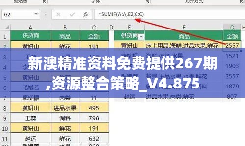 新澳精准资料免费提供267期,资源整合策略_V4.875