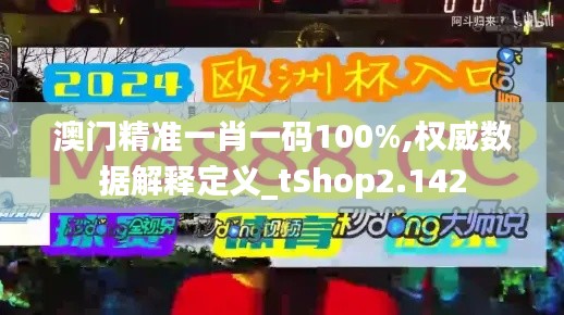 澳门精准一肖一码100%,权威数据解释定义_tShop2.142