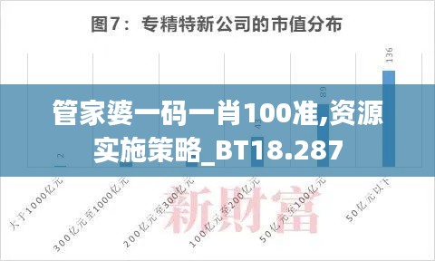 管家婆一码一肖100准,资源实施策略_BT18.287