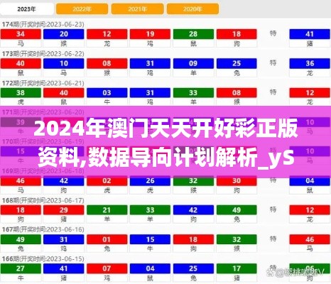 2024年澳门天天开好彩正版资料,数据导向计划解析_yShop6.819