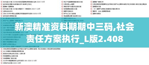 新澳精准资料期期中三码,社会责任方案执行_L版2.408