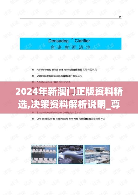 2024年新澳门正版资料精选,决策资料解析说明_尊享款7.866