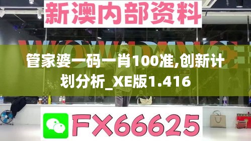 管家婆一码一肖100准,创新计划分析_XE版1.416