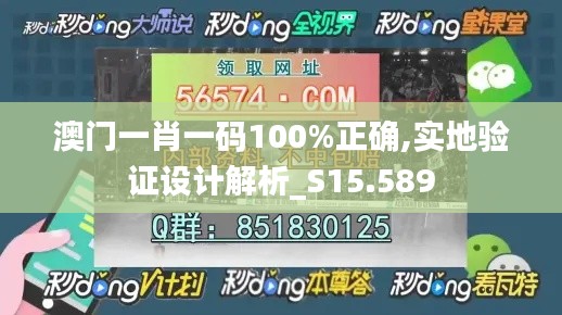 澳门一肖一码100%正确,实地验证设计解析_S15.589