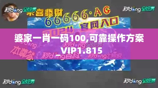 婆家一肖一码100,可靠操作方案_VIP1.815