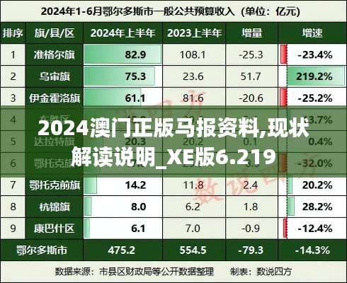 2024澳门正版马报资料,现状解读说明_XE版6.219