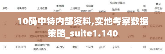 10码中特内部资料,实地考察数据策略_suite1.140