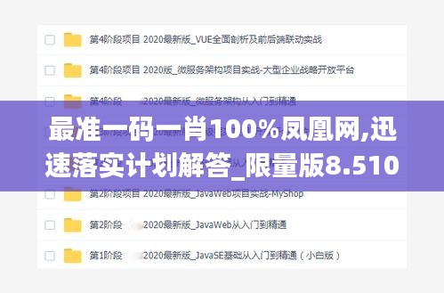 最准一码一肖100%凤凰网,迅速落实计划解答_限量版8.510