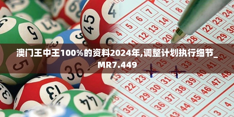 澳门王中王100%的资料2024年,调整计划执行细节_MR7.449