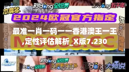 最准一肖一码一一香港澳王一王,定性评估解析_X版7.230