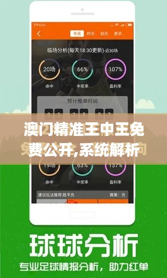 澳门精准王中王免费公开,系统解析说明_微型版5.642