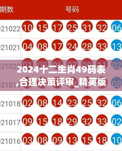 2024十二生肖49码表,合理决策评审_精英版8.310