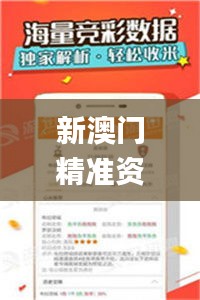 新澳门精准资料大全管家婆料,适用性计划解读_RX版10.682