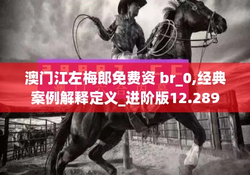 澳门江左梅郎免费资 br_0,经典案例解释定义_进阶版12.289