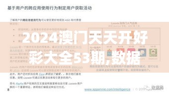 2024澳门天天开好彩大全53期,数据驱动方案实施_限量款2.448