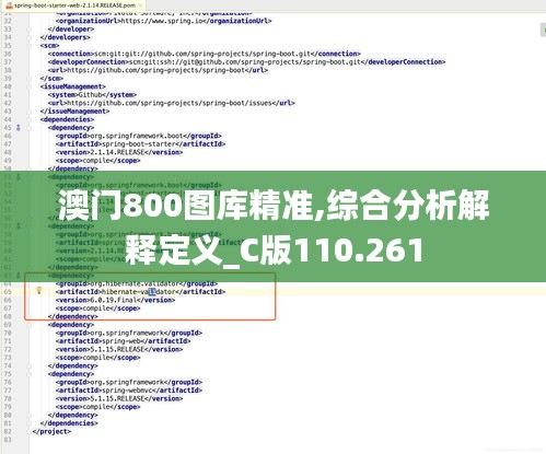 澳门800图库精准,综合分析解释定义_C版110.261