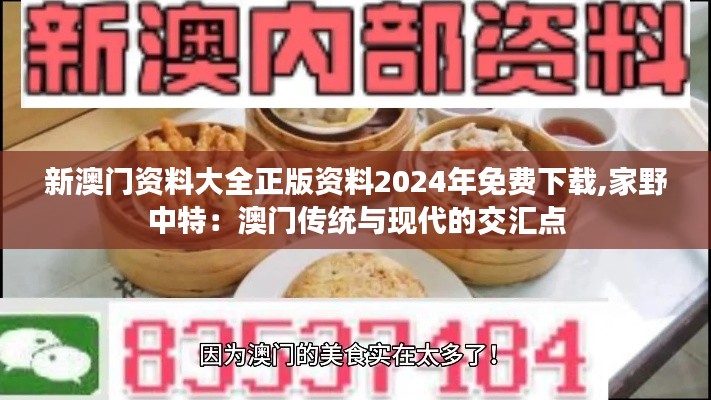 新澳门资料大全正版资料2024年免费下载,家野中特：澳门传统与现代的交汇点