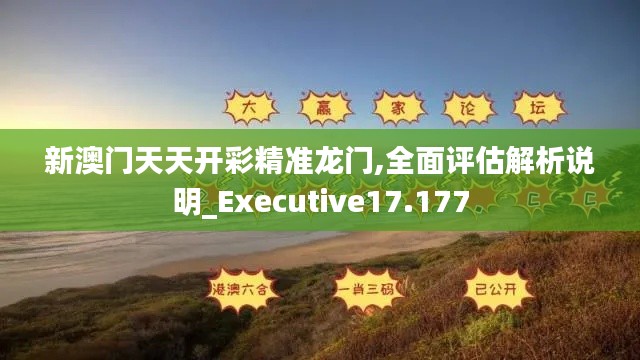 新澳门天天开彩精准龙门,全面评估解析说明_Executive17.177