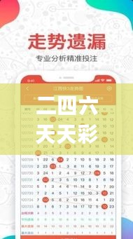 二四六天天彩资料大全网,高效解读说明_tShop8.749