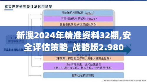 新澳2024年精准资料32期,安全评估策略_战略版2.980