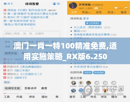 澳门一肖一特100精准免费,适用实施策略_RX版6.250