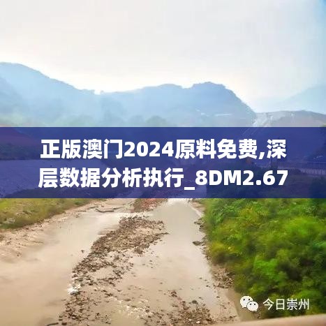 正版澳门2024原料免费,深层数据分析执行_8DM2.675