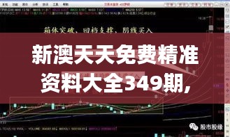 新澳天天免费精准资料大全349期,多样化策略执行_pro7.119