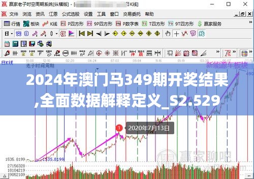 2024年澳门马349期开奖结果,全面数据解释定义_S2.529