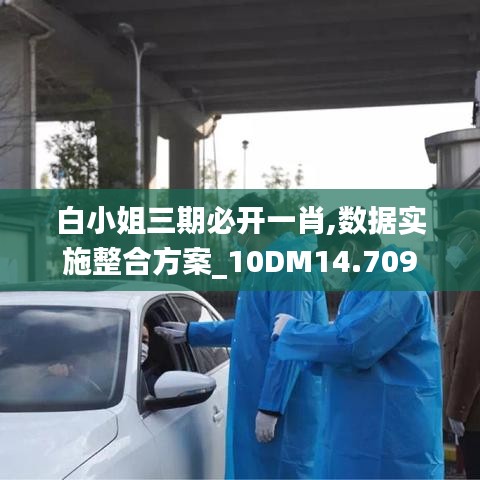 白小姐三期必开一肖,数据实施整合方案_10DM14.709