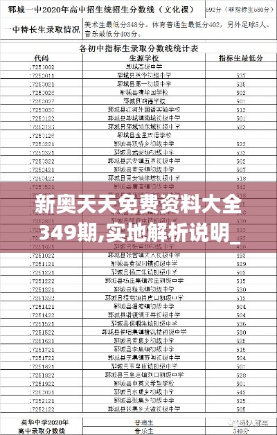 新奥天天免费资料大全349期,实地解析说明_pack8.515