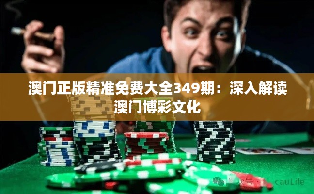 澳门正版精准免费大全349期：深入解读澳门博彩文化