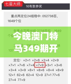 今晚澳门特马349期开的什么,高效解析方法_QHD版7.155