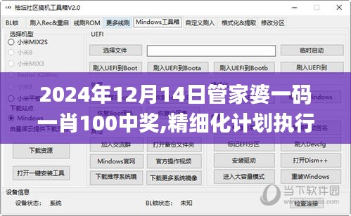 2024年12月14日管家婆一码一肖100中奖,精细化计划执行_LE版6.819