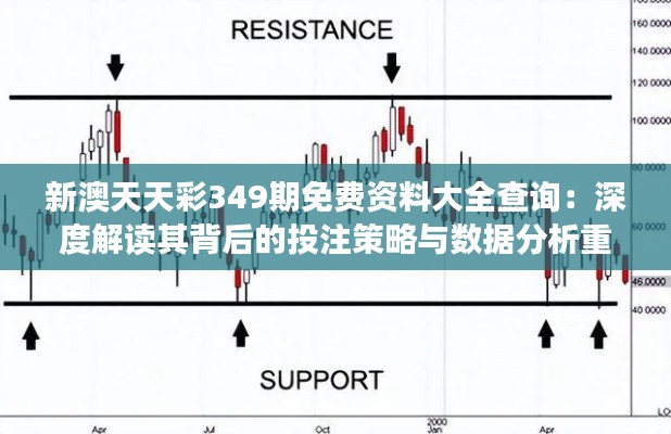 新澳天天彩349期免费资料大全查询：深度解读其背后的投注策略与数据分析重要性