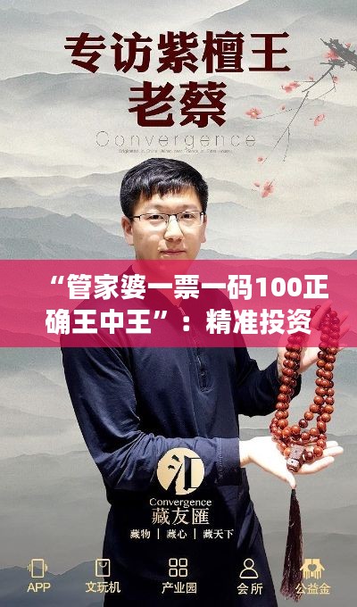 “管家婆一票一码100正确王中王”：精准投资，智慧选择的体现