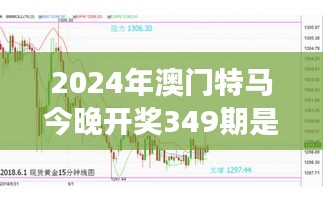 2024年澳门特马今晚开奖349期是什么：特马与时代脉搏同步的跃动