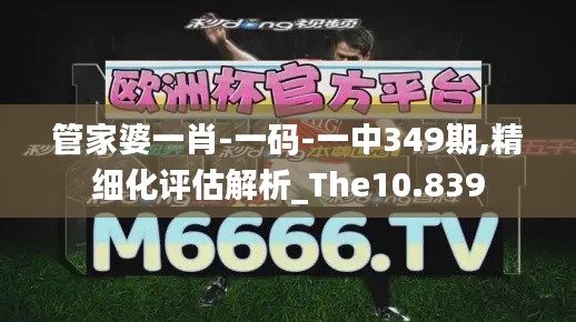 管家婆一肖-一码-一中349期,精细化评估解析_The10.839