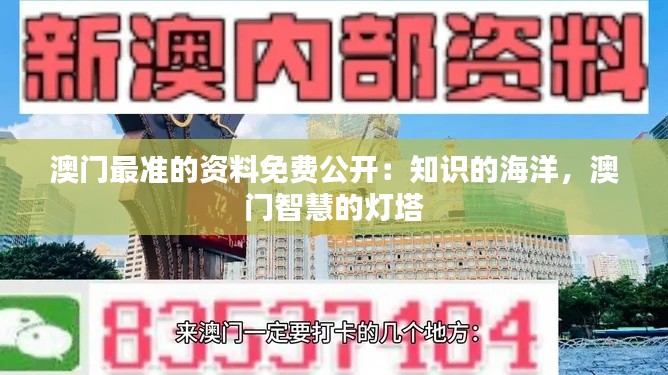 澳门最准的资料免费公开：知识的海洋，澳门智慧的灯塔