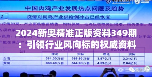 2024新奥精准正版资料349期：引领行业风向标的权威资料探究